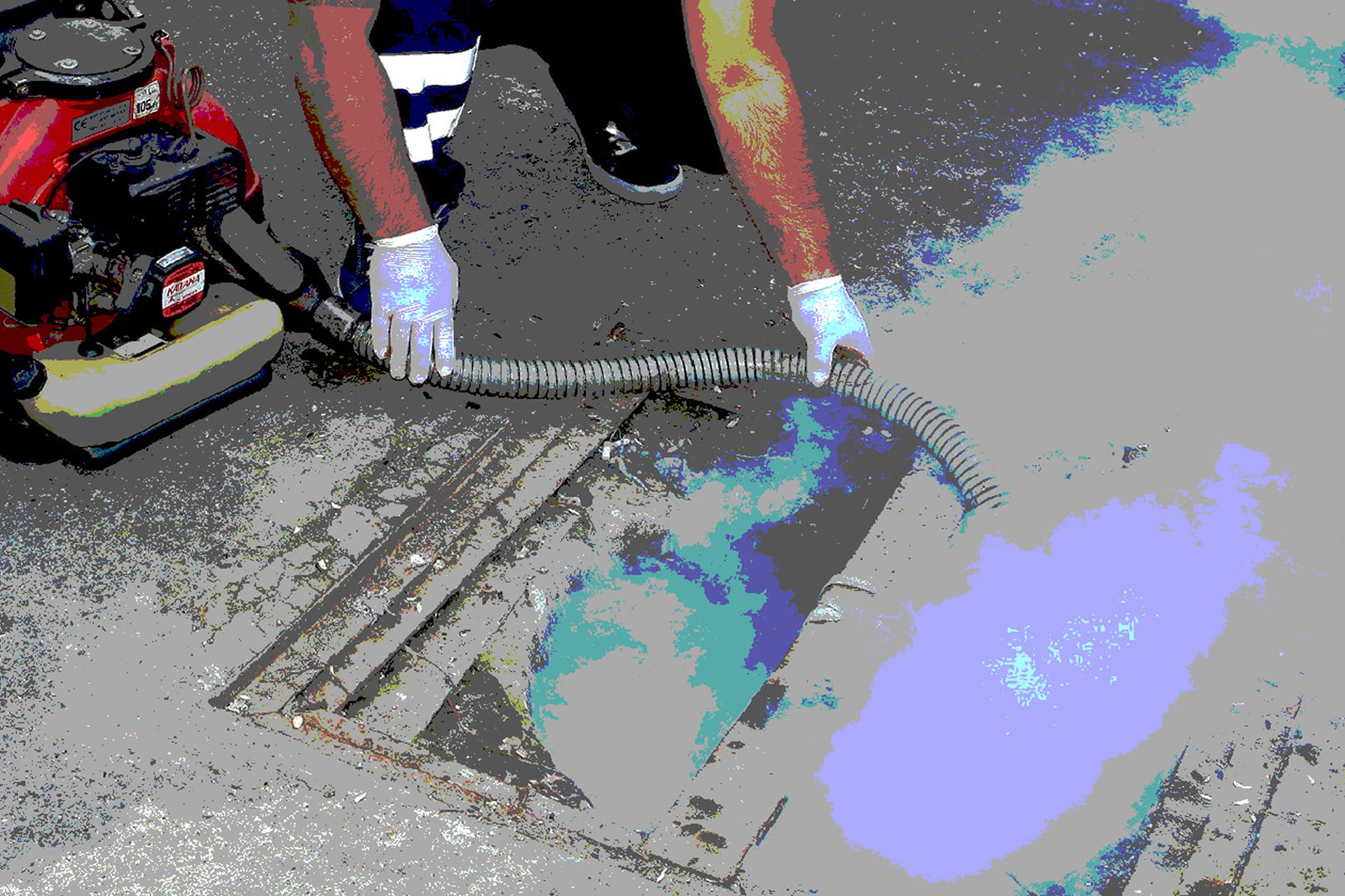 Disinfestazione (repertorio)