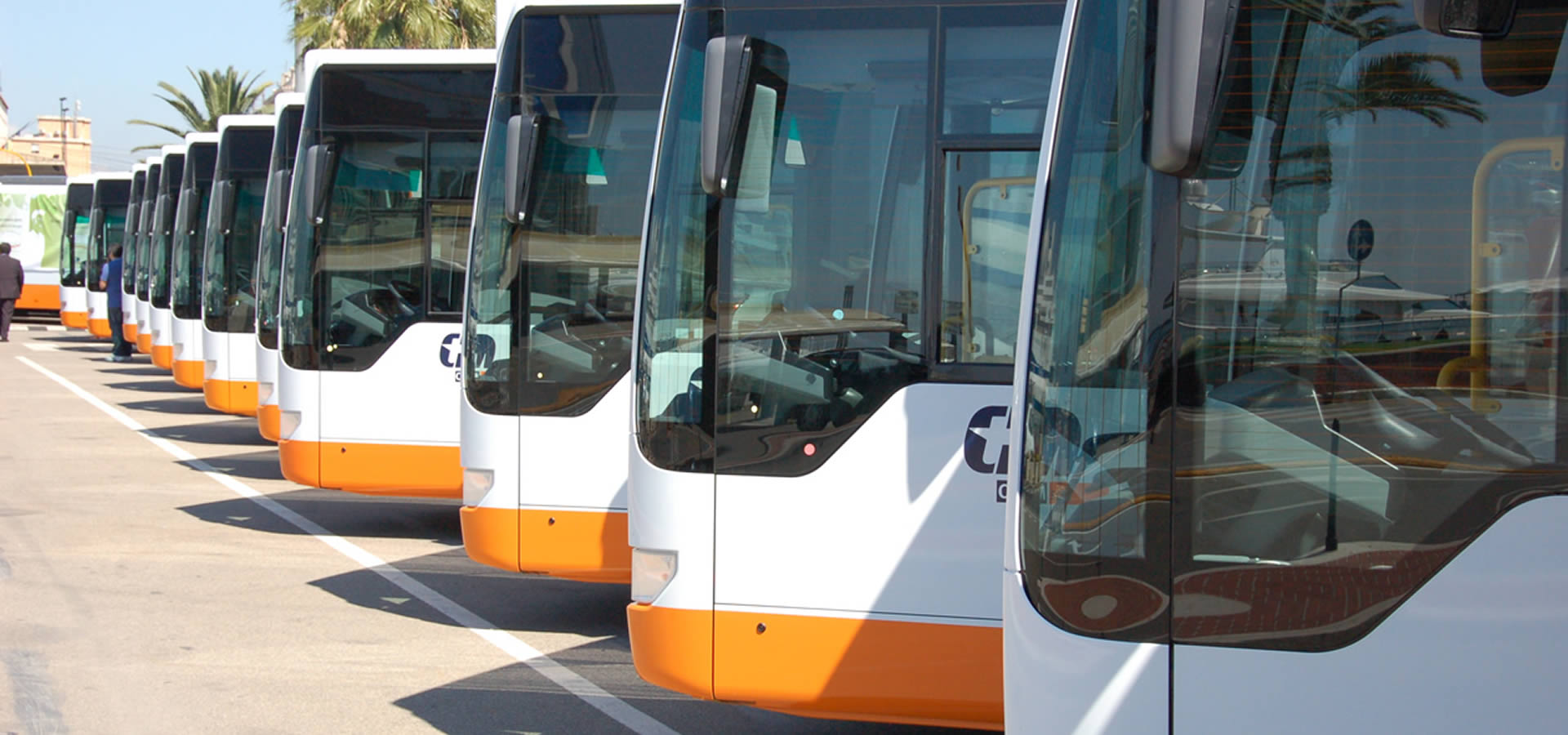 CTM trasporto pubblico.jpg