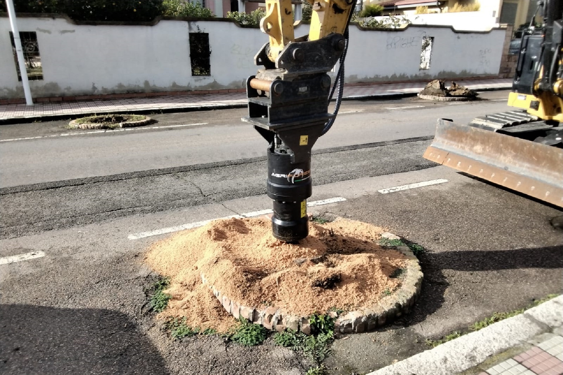Cagliari - lavori sull'alberata Via Vienna.jpeg