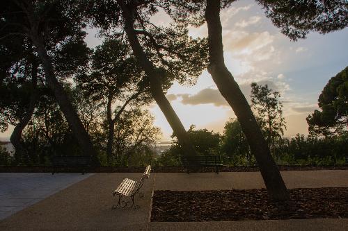 viale Buoncammino al tramonto