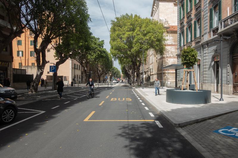 Viale Trieste: riqualificazione ambientale e paesaggistica