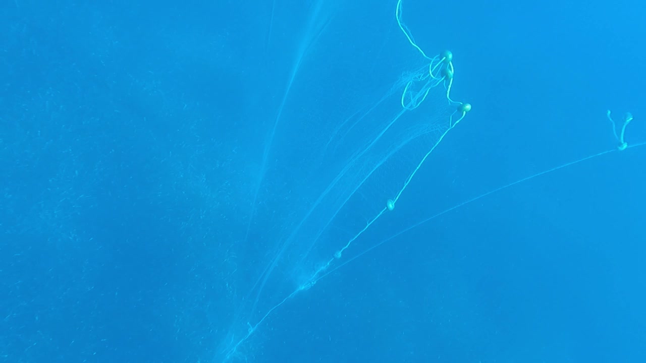 Rete nel fondale marino