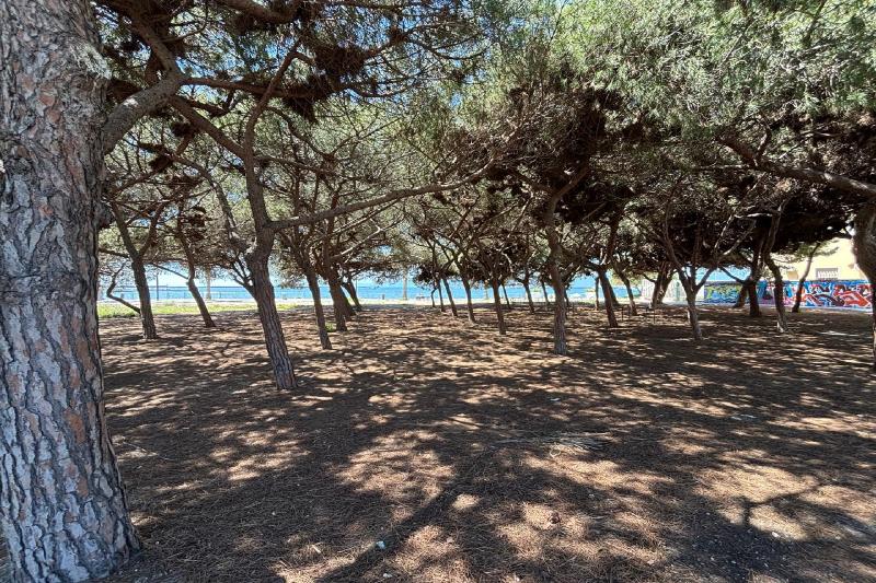 Cagliari-Pineta di Su Siccu