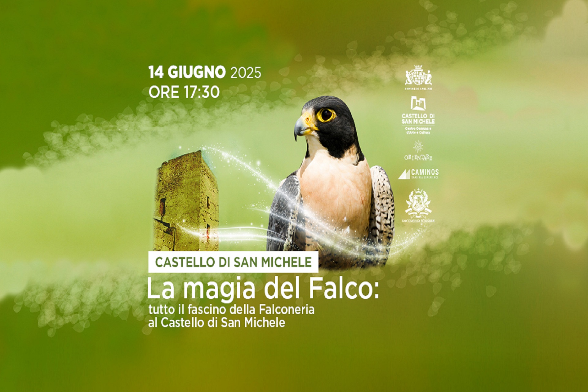 Cagliari - "La magia del falco" al Castello di San Michele
