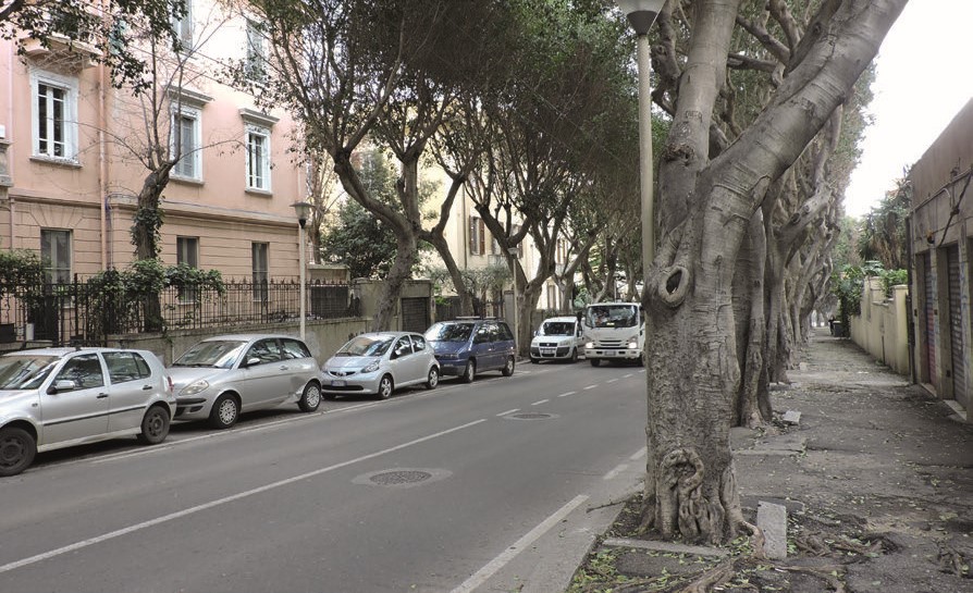 L'attuale Viale Merello