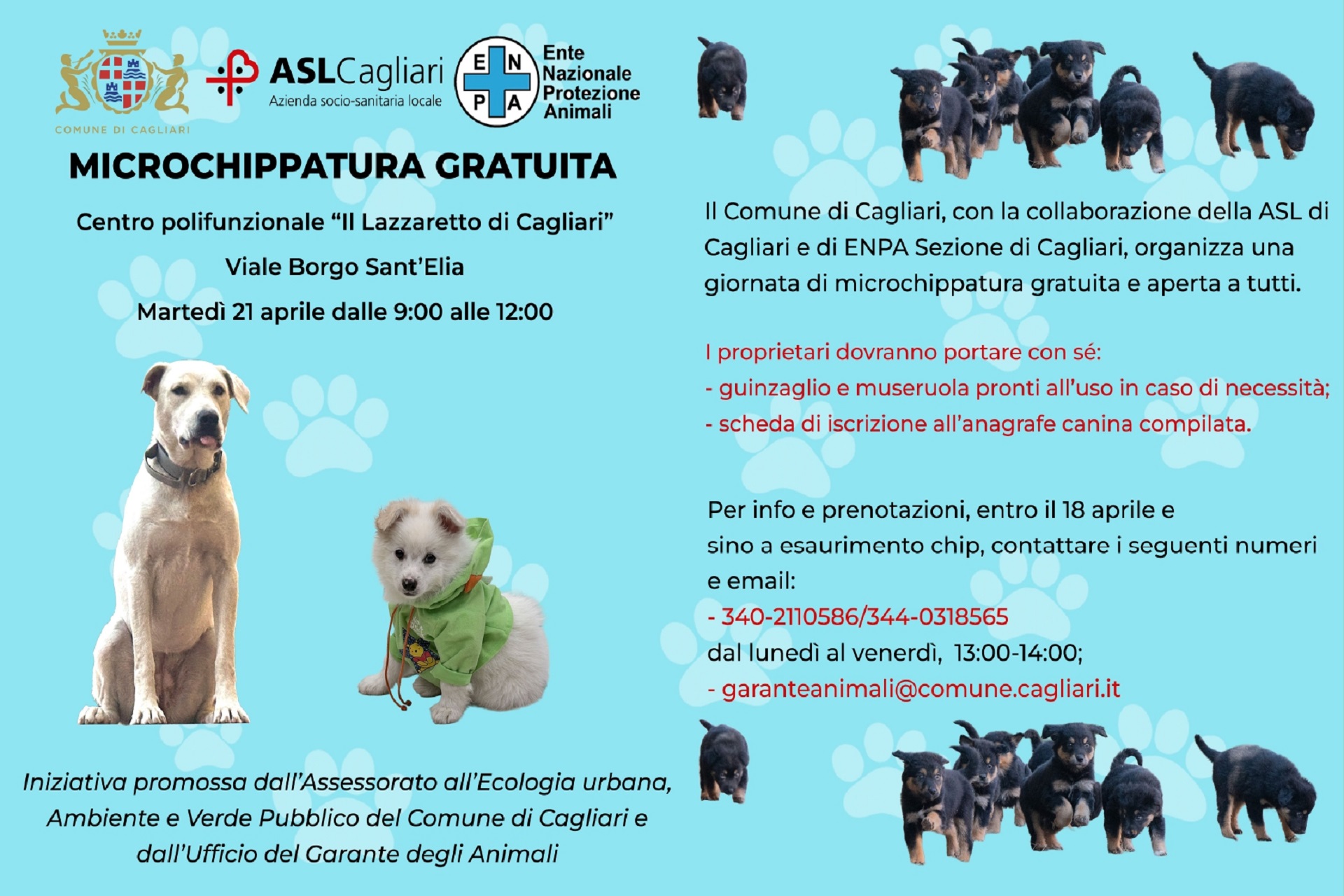 Cagliari - Microchippatura cani gratuita