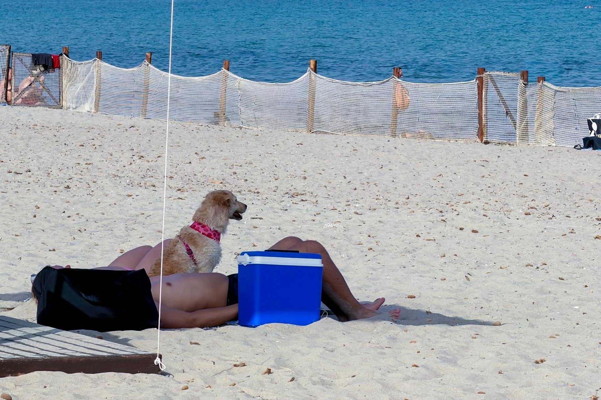 Cagliari - Area cani al Poetto