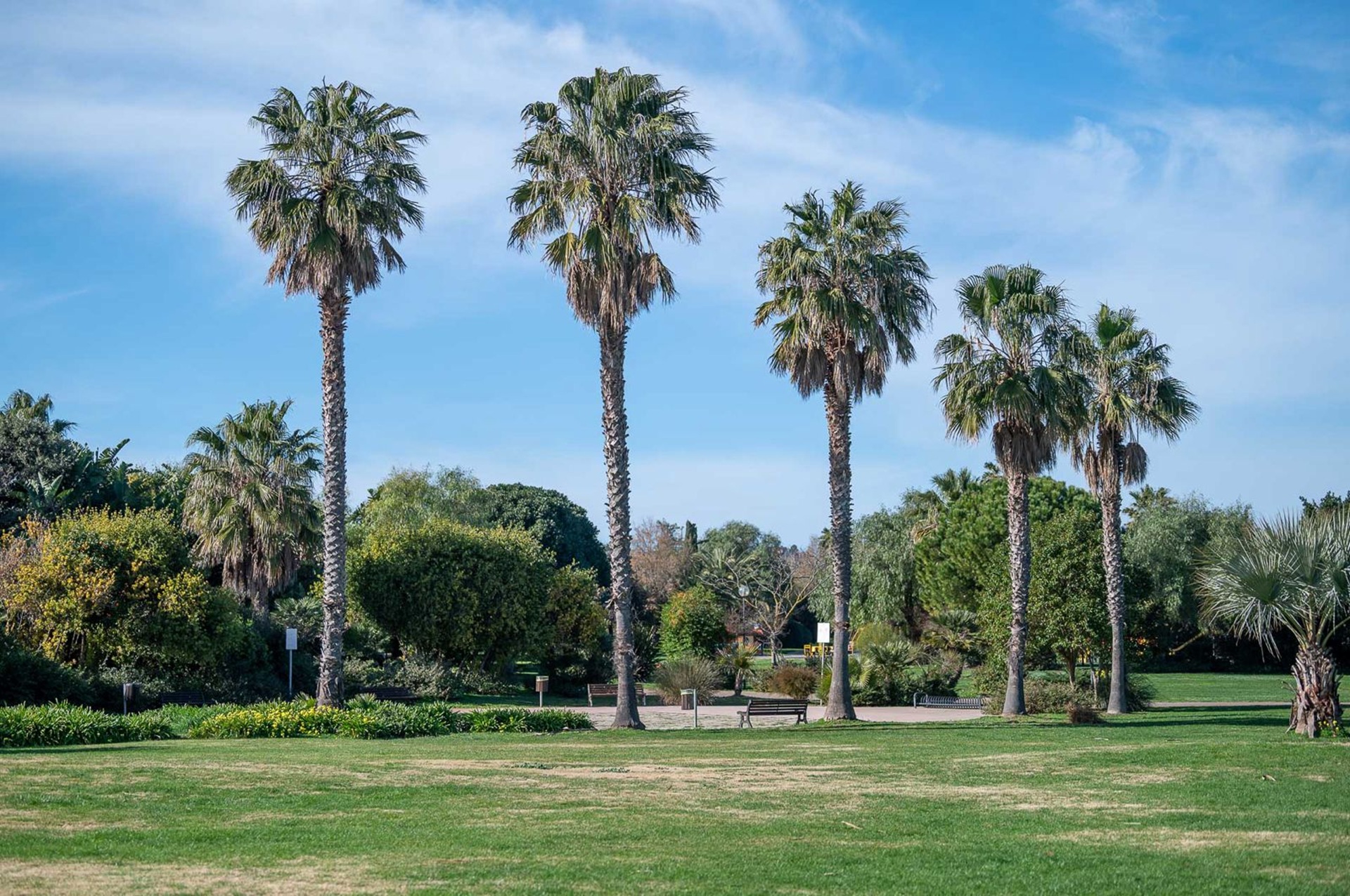Cagliari - Parco di Terramaini (archivio)