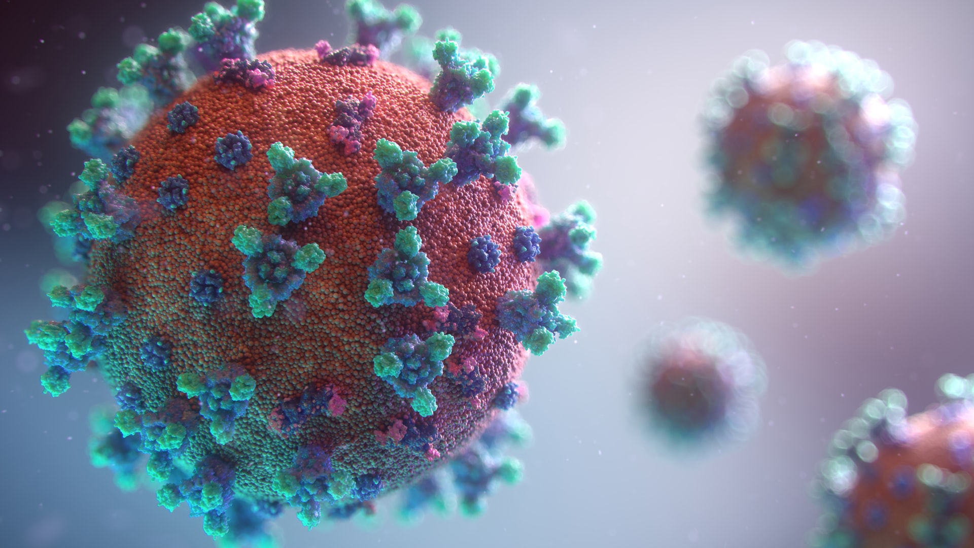 Coronavirus - immagine di repertorio