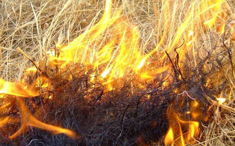 Un principio d'incendio