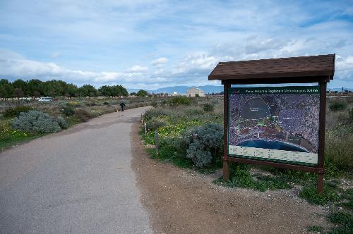 Comune di Cagliari | Parco Molentargius - Saline