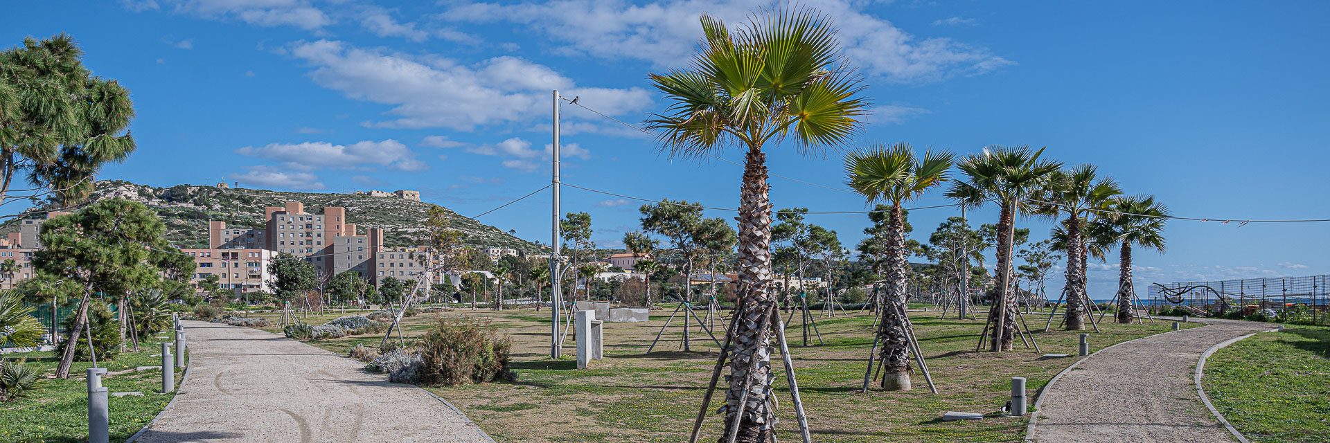 Il cuore del Parco degli Anelli.