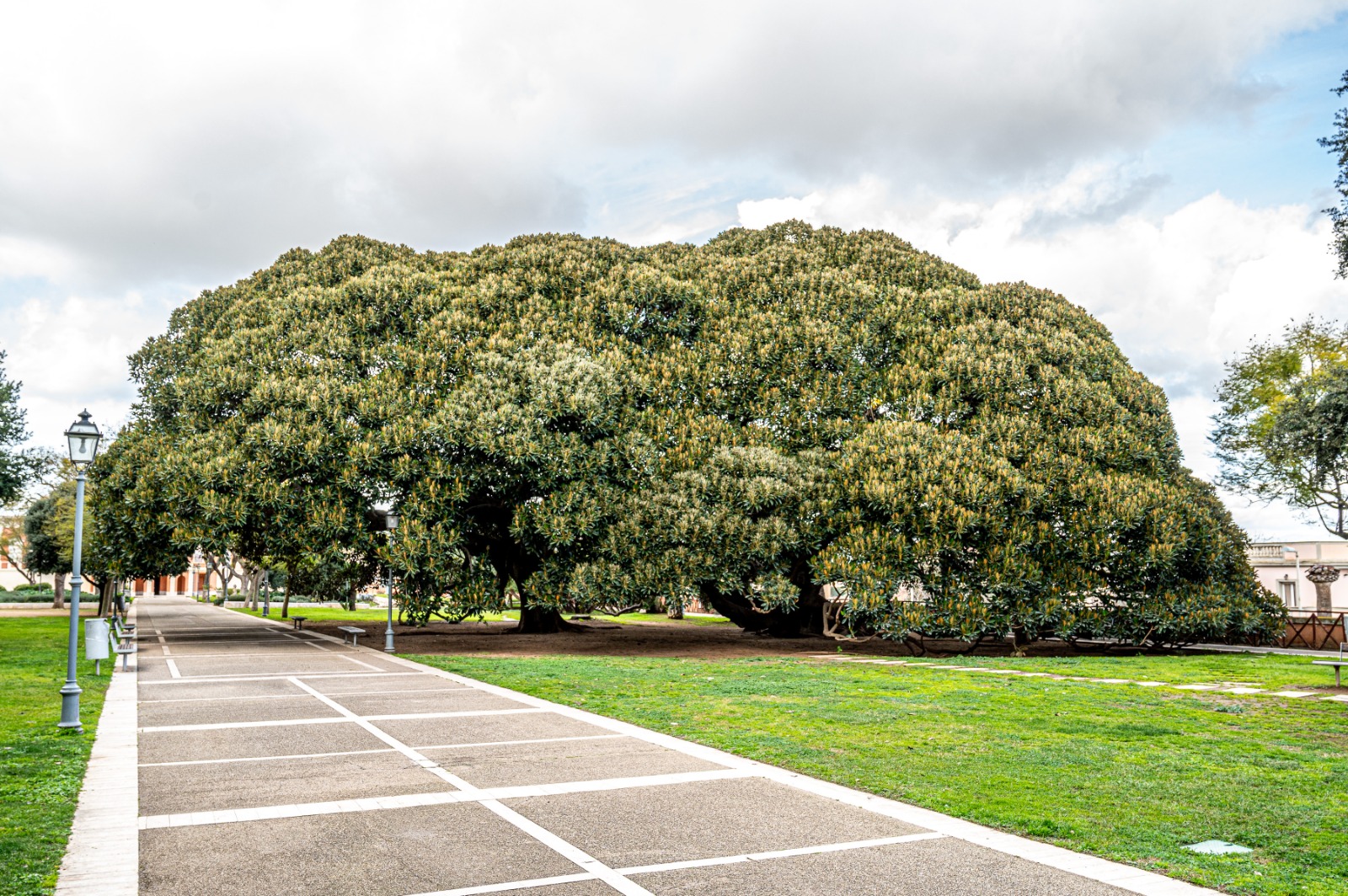 Cagliari - Parco urbano (archivio)