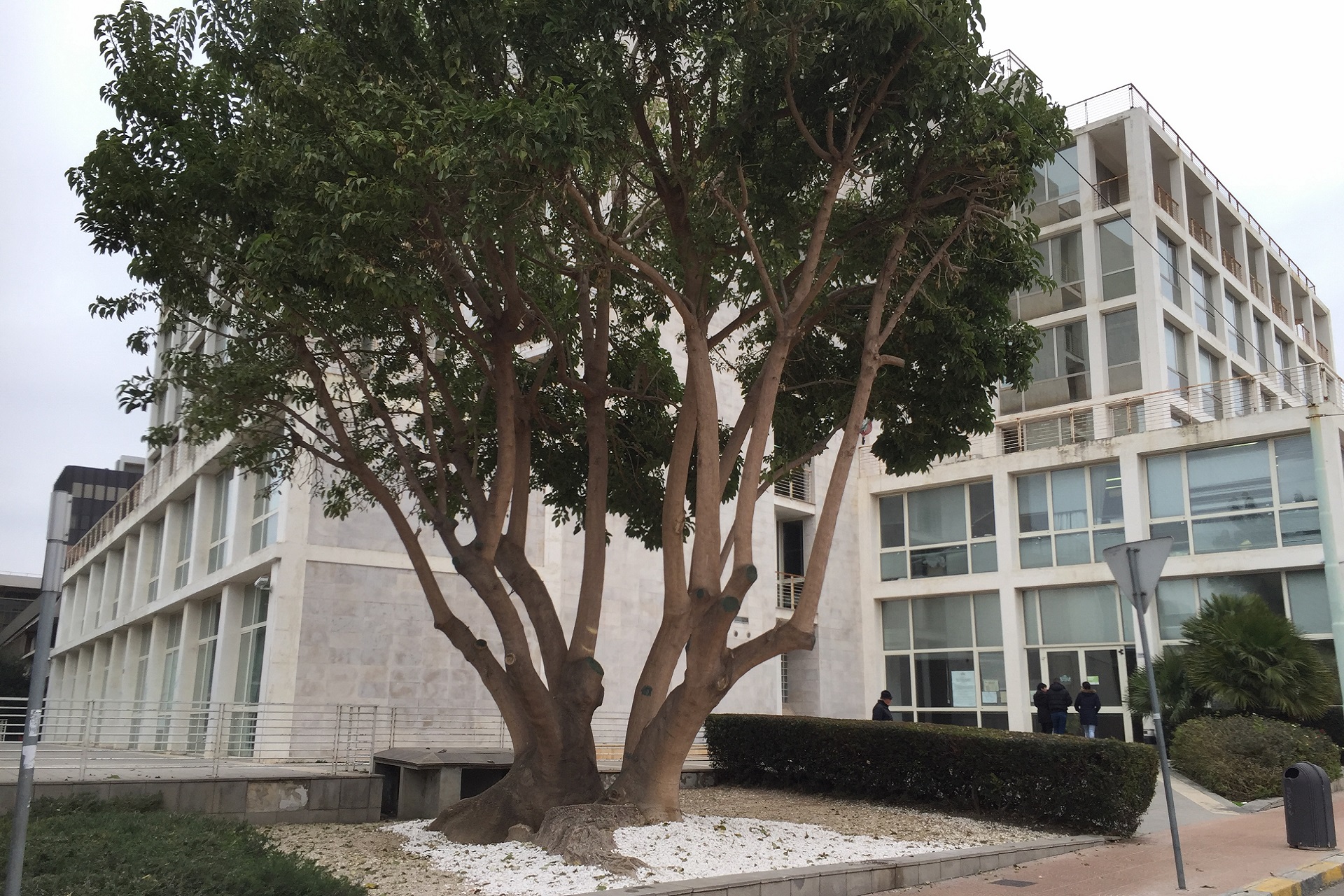 Cagliari-Palazzo Civico via Sauro