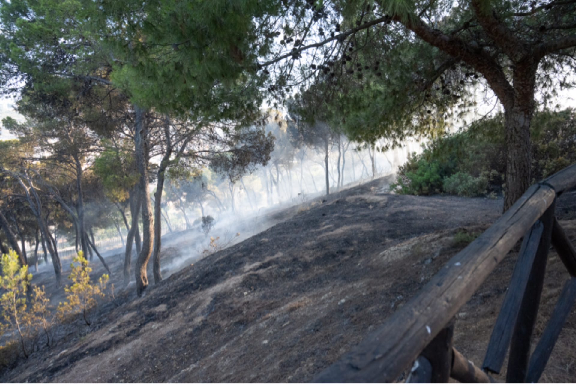 L’incendio sul Colle di San Michele