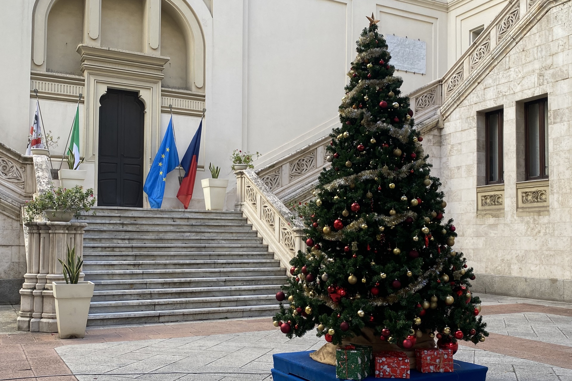 Albero di Natale in Palazzo