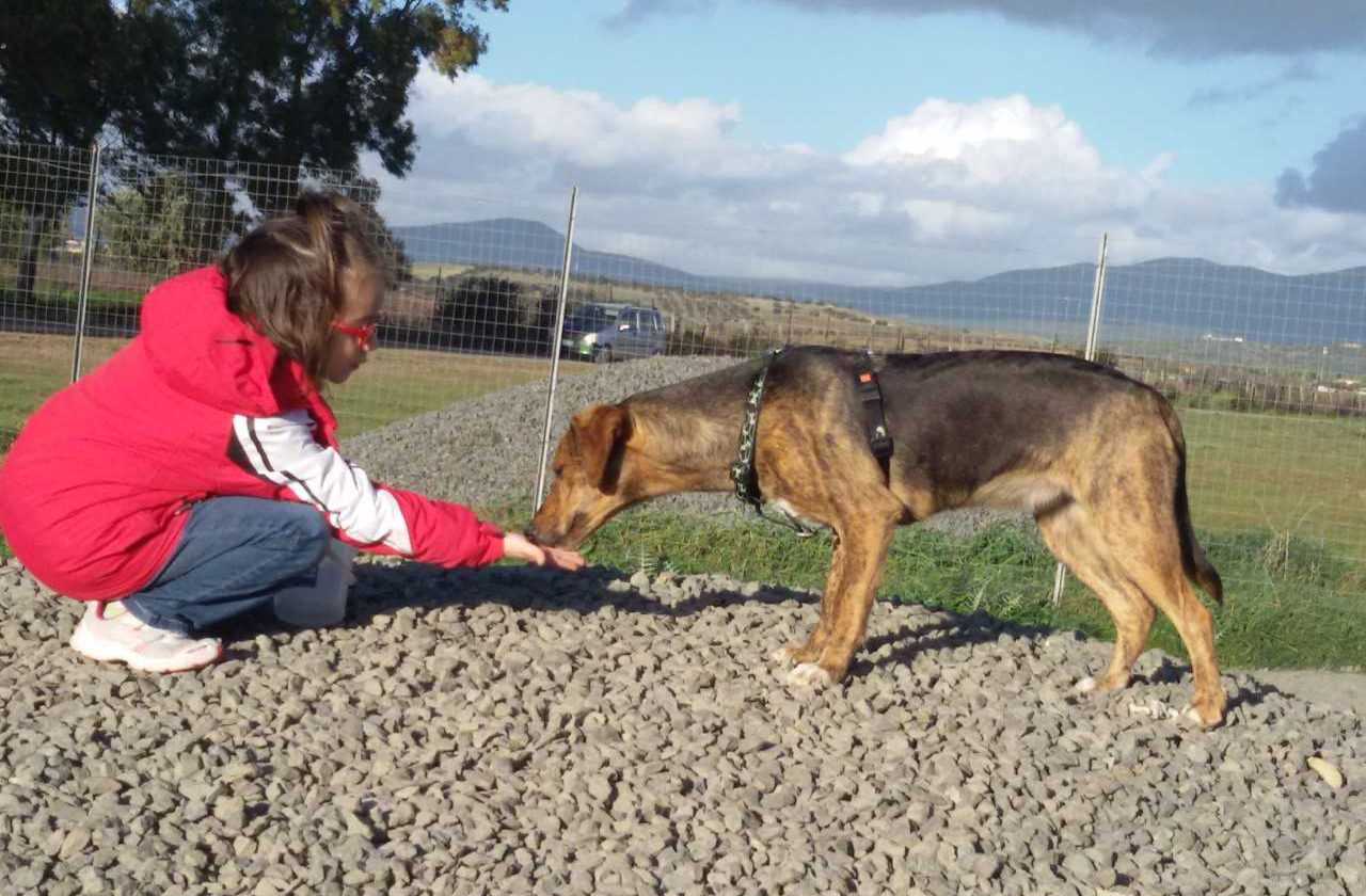 Bambina e cane