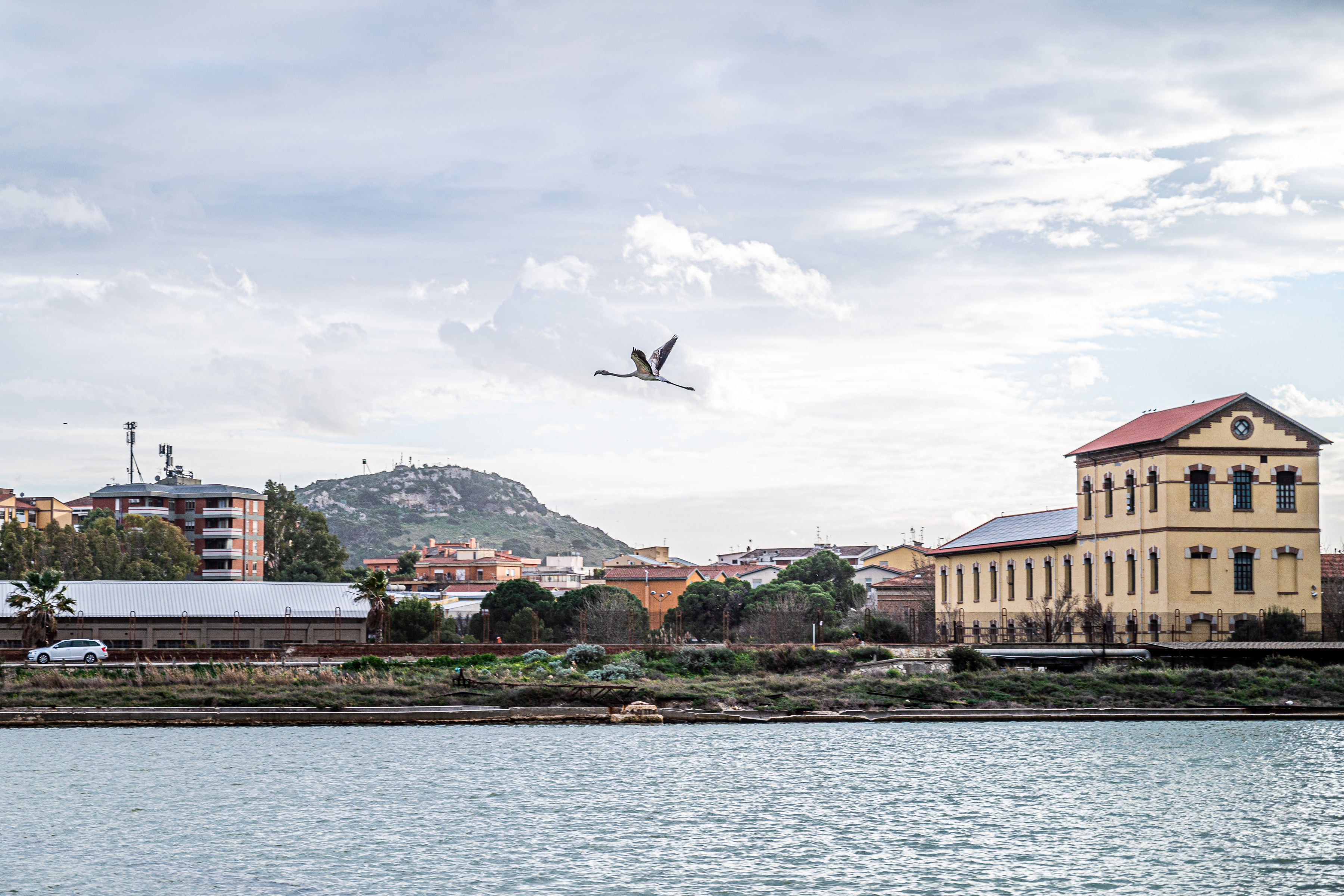 Cagliari