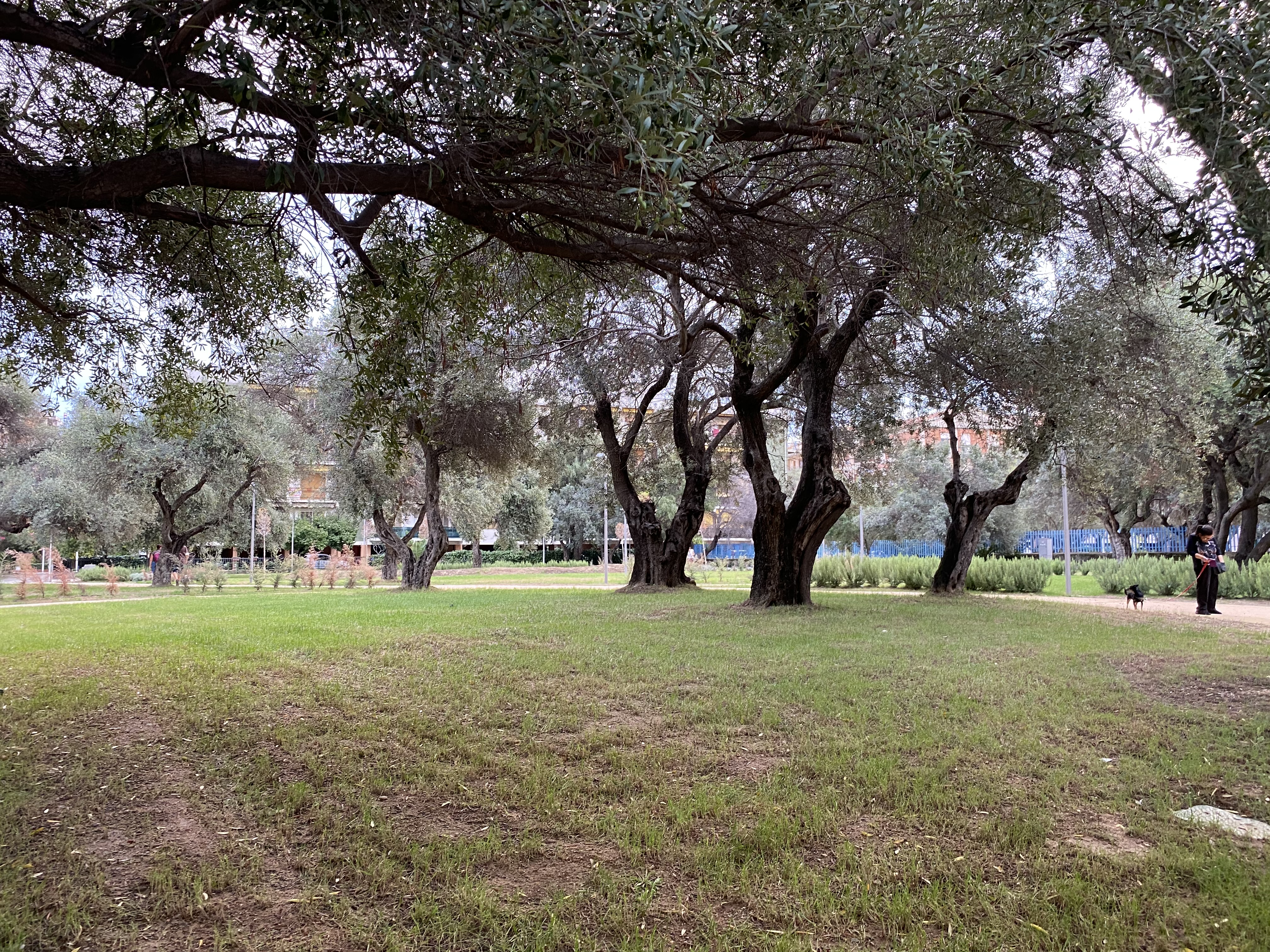 Cagliari - Spazio verde cittadino