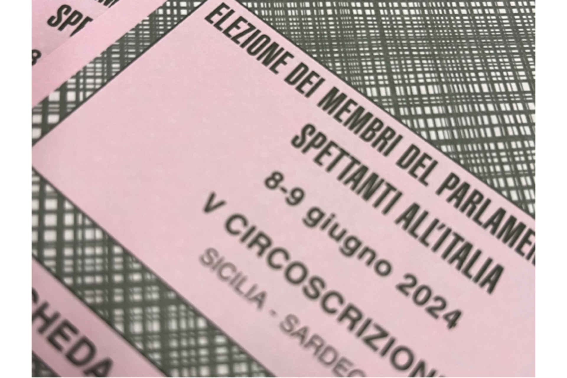 Schede di votazione