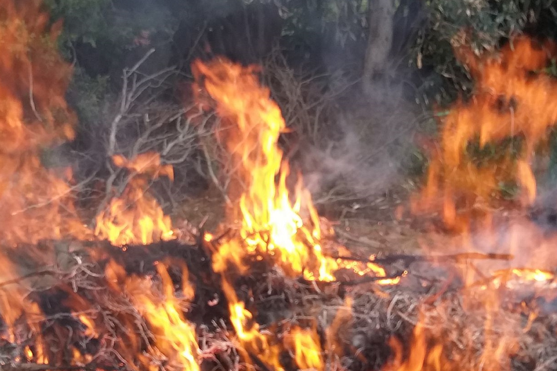 Un principio di incendio