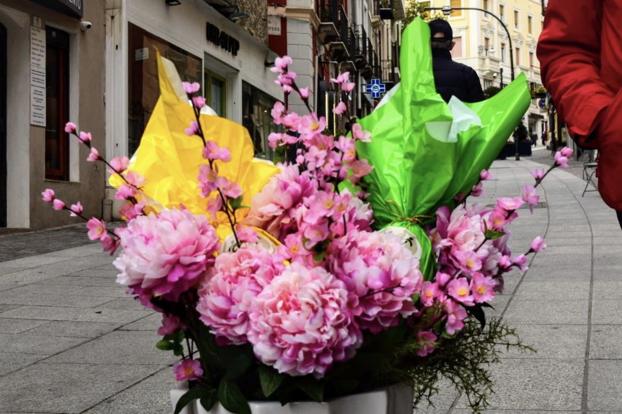 Manifestazione Strada facendo...le uova per la ricerca.jpg