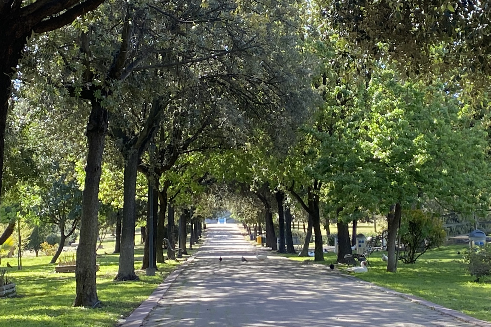 Il Parco di Monte Claro