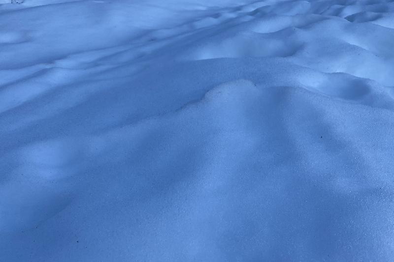 Neve