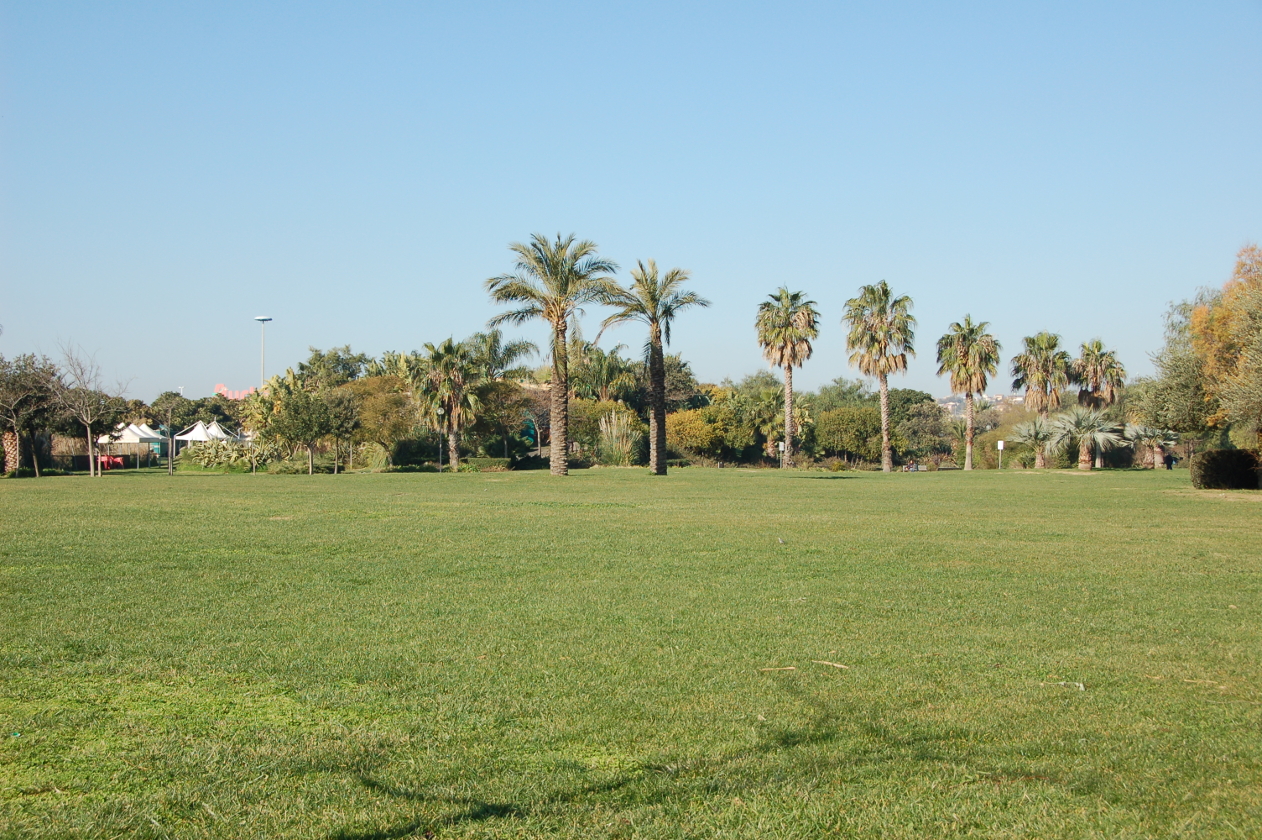 Cagliari - parco cittadino (archivio)