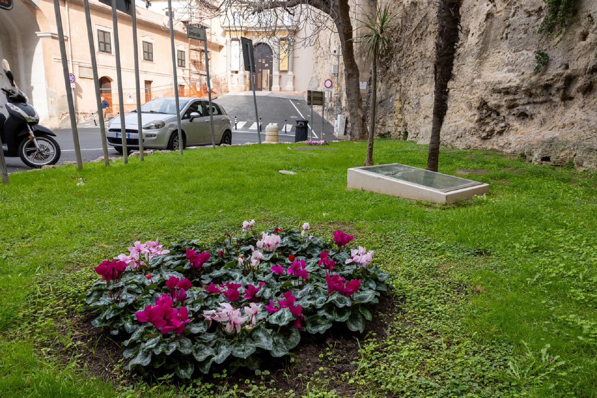 Un'aiuola in città