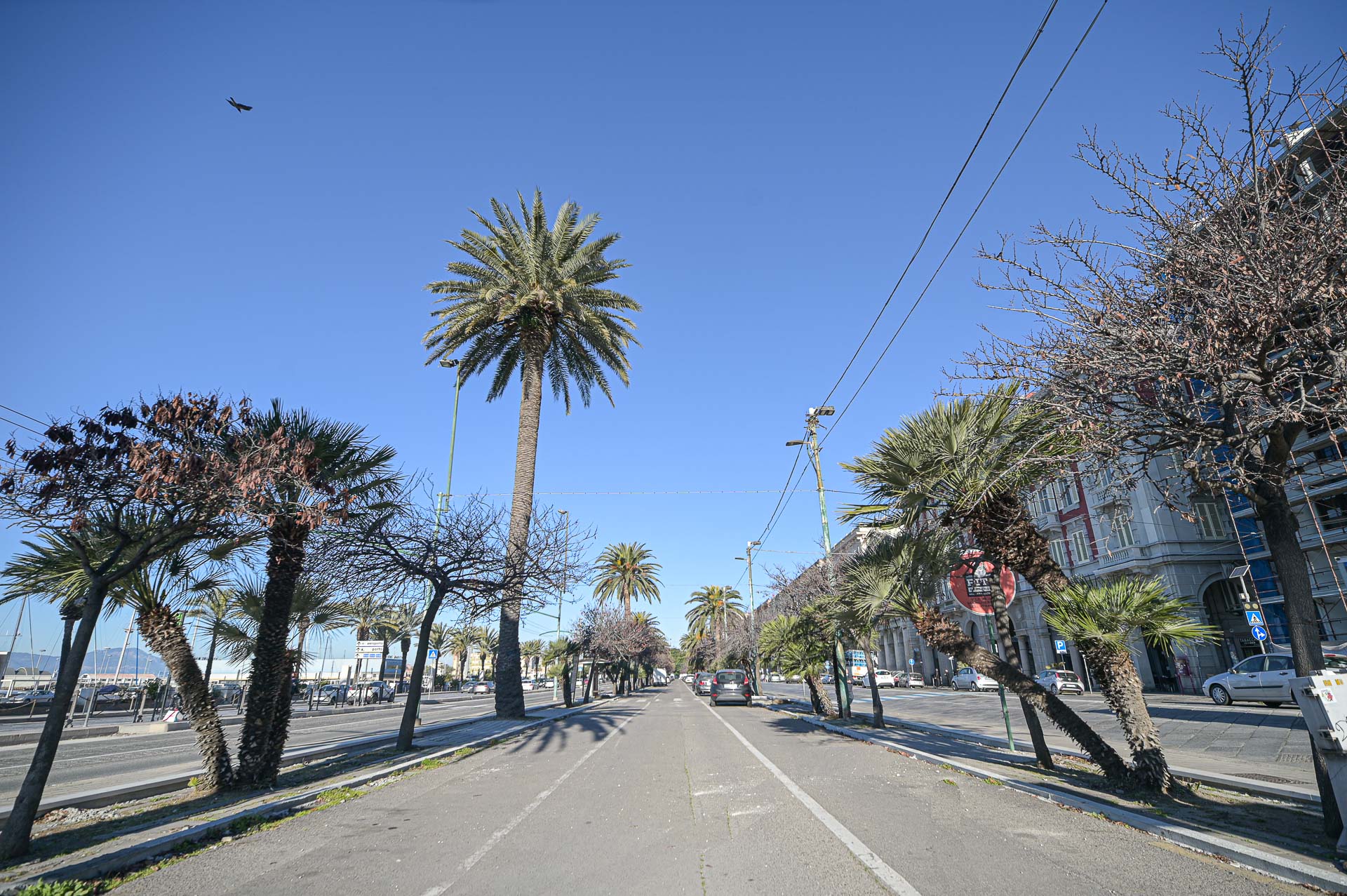 Comune di Cagliari | Via Roma e Piazza Matteotti verso la riapertura