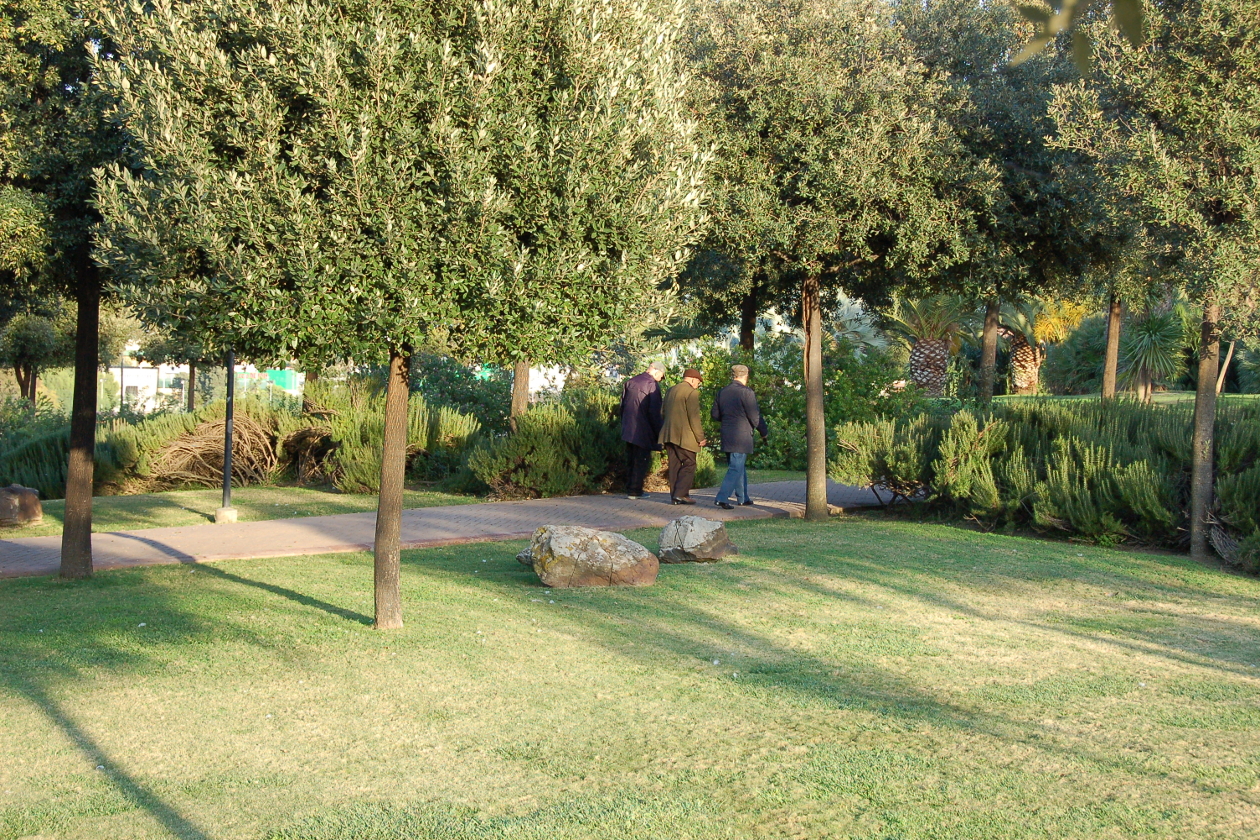 Parco cittadino