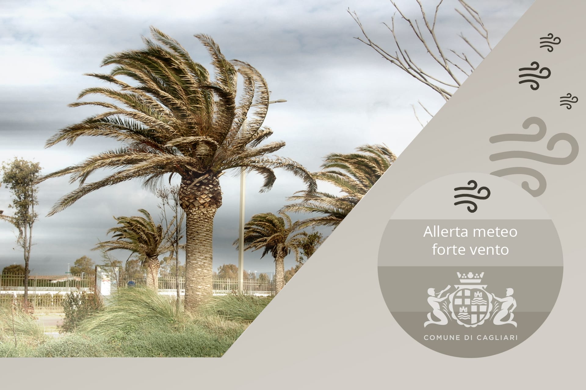 Condizioni meteo avverse-Venti forti