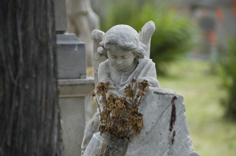 CA7.5.1.1.g - Valorizzazione del Cimitero monumentale di Bonaria: memoria, arte e cultura per il futuro di Cagliari