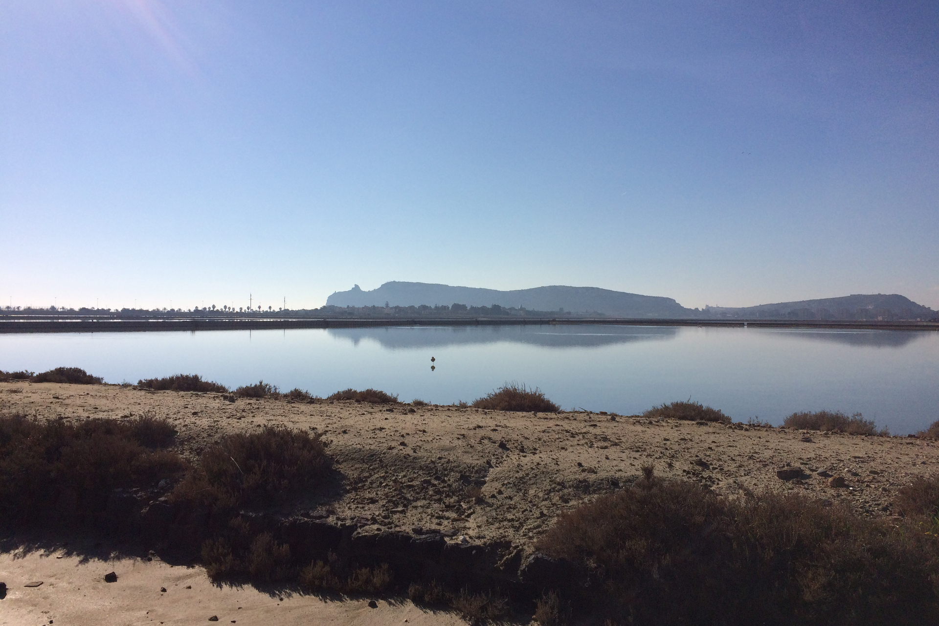 Parco di Molentargius Saline