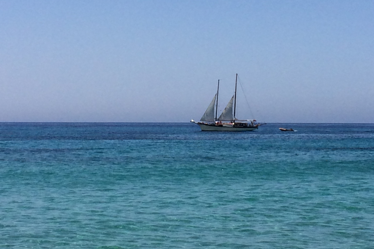 Barca a vela