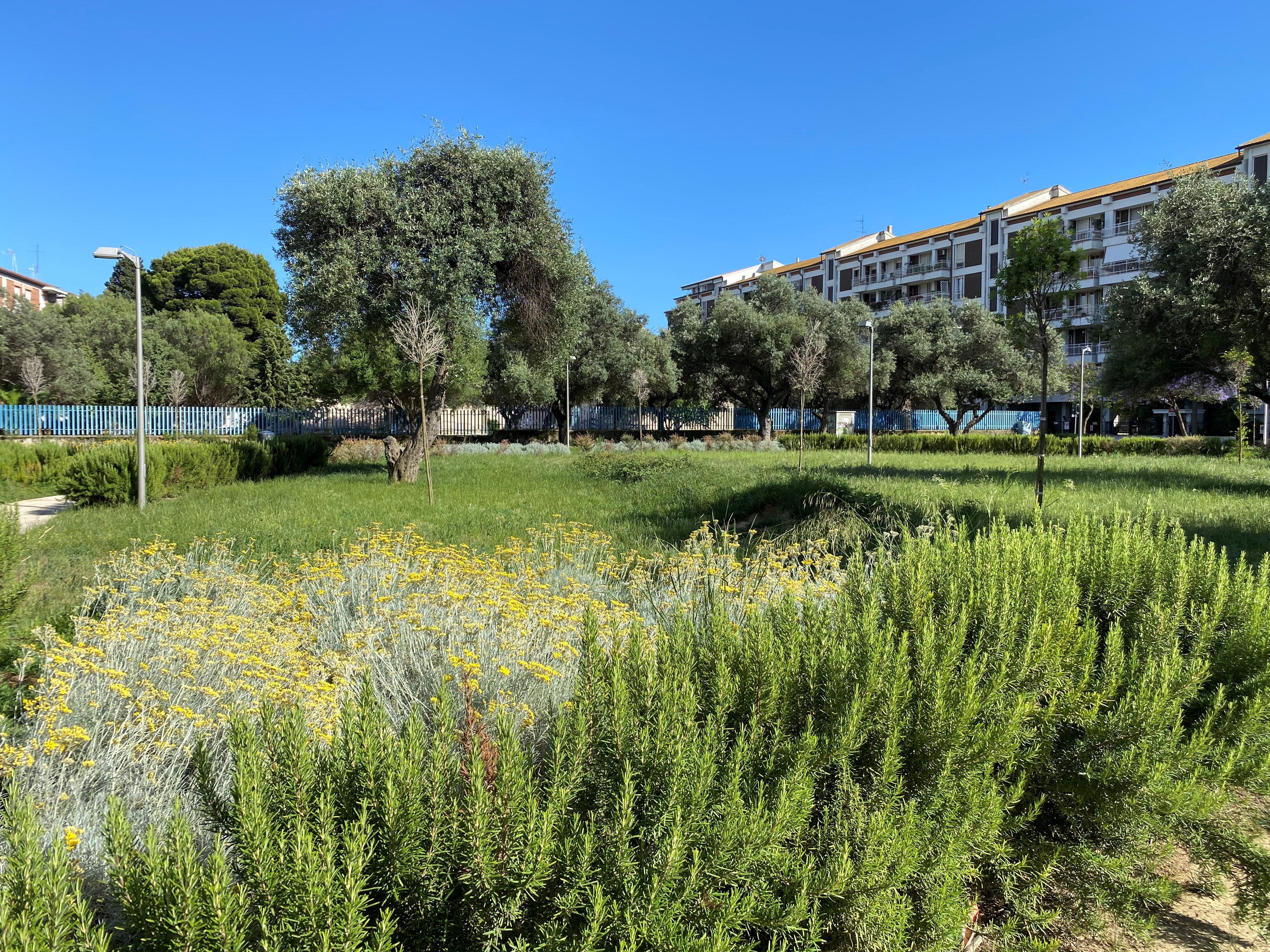 Cagliari - Spazio verde cittadino